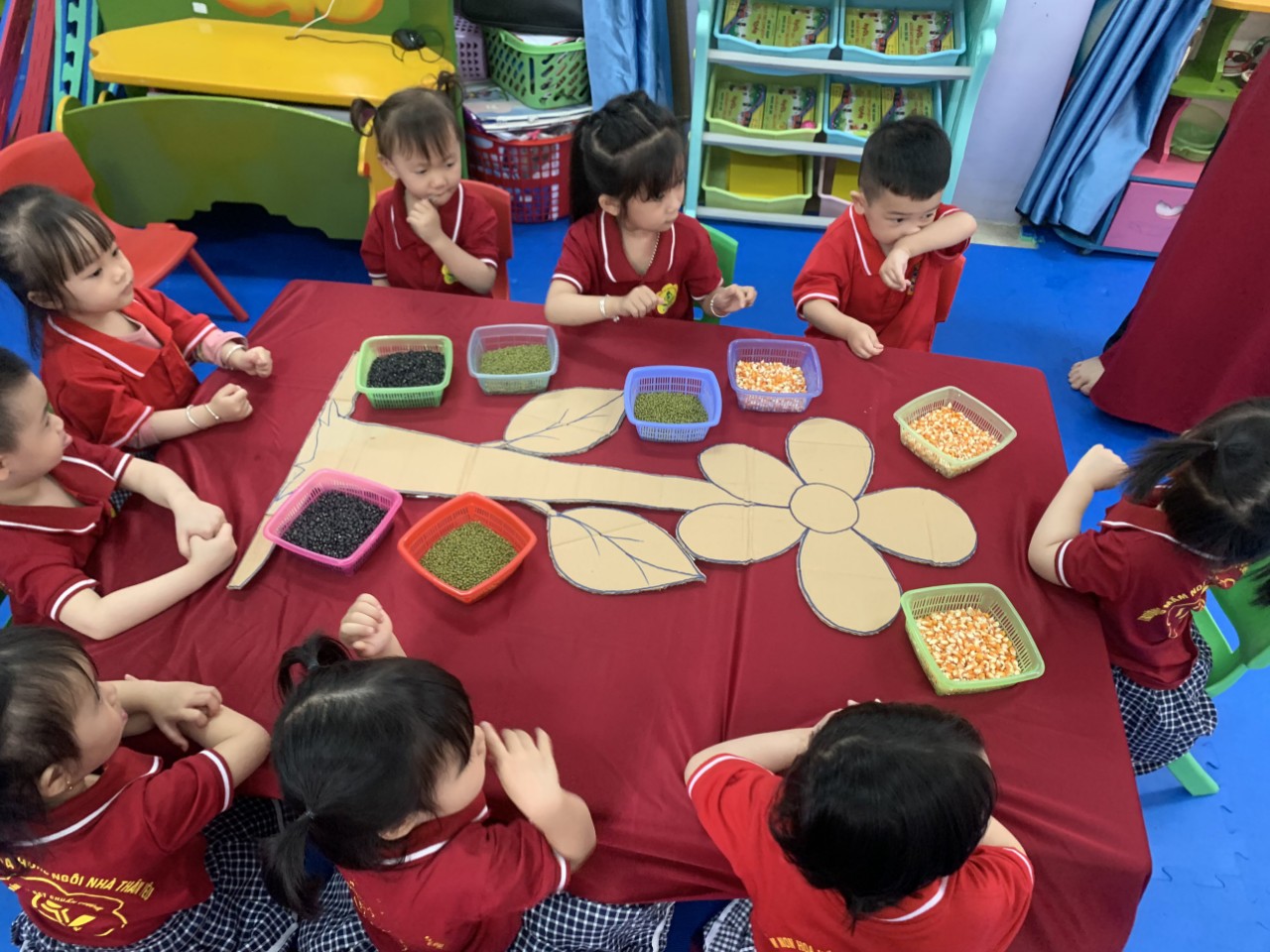 25f0dc3a504a8d14d45b13